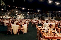 Romantic-Autumn-Wedding-Nicosia-081